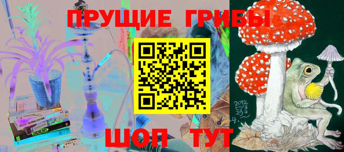 Псилоцибиновые грибы MAGIC MUSHROOMS  купить наркоту  Вход с VPN  Чехов  Псилоцибиновые грибы MAGIC MUSHROOMS 